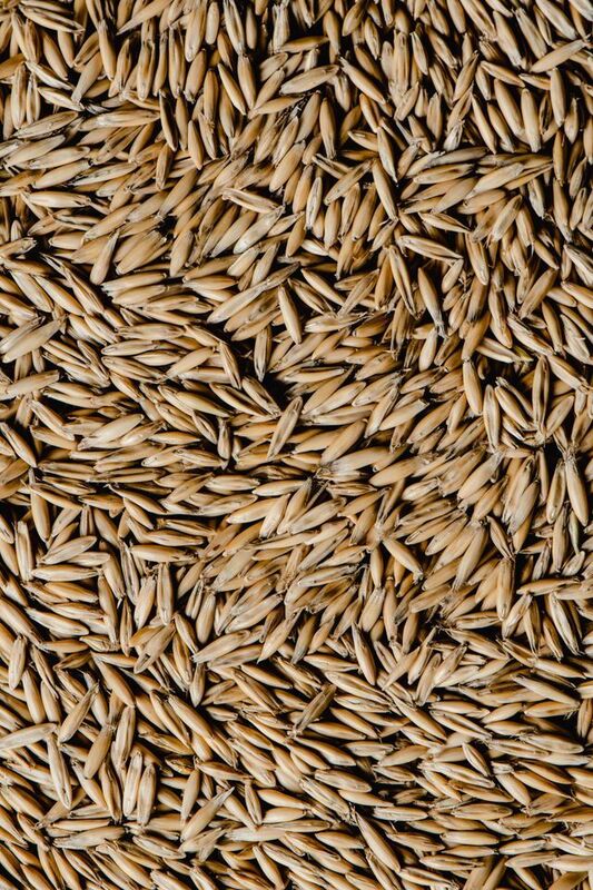 Grass Seed Packaging | Beyond Print, Inc. 