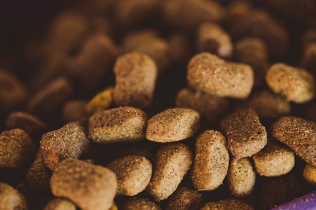 Freeze-Dried Pet Food Packaging | Beyond Print, Inc. 