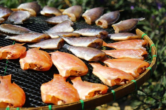 Seafood Product Labels | Beyond Print, Inc.